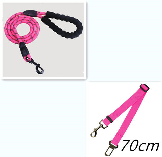 Reflective Nylon Dog Leash: Safe & Comfortable Walks - Pawfect Nest