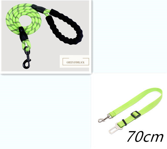 Reflective Nylon Dog Leash: Safe & Comfortable Walks - Pawfect Nest