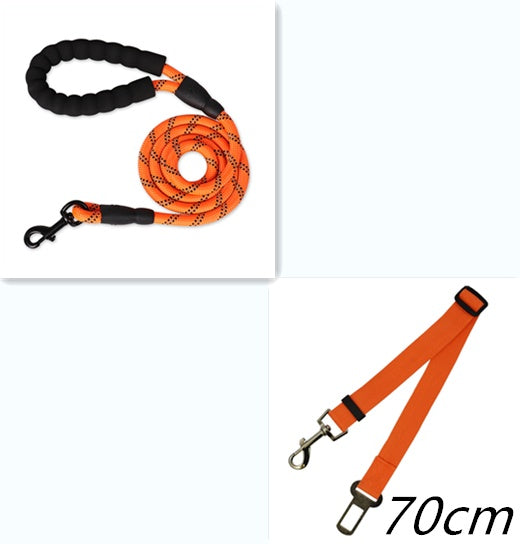 Reflective Nylon Dog Leash: Safe & Comfortable Walks - Pawfect Nest