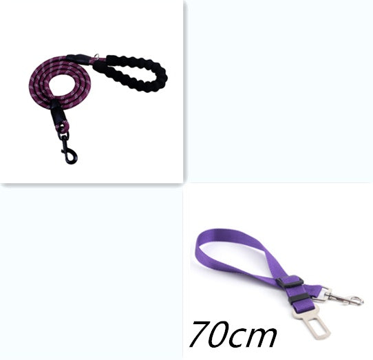 Reflective Nylon Dog Leash: Safe & Comfortable Walks - Pawfect Nest