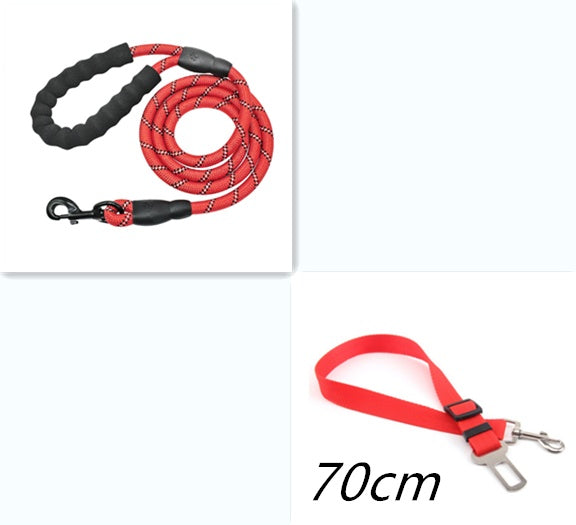 Reflective Nylon Dog Leash: Safe & Comfortable Walks - Pawfect Nest