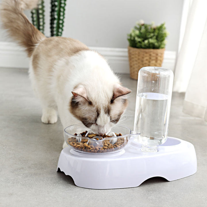 Why Your Pet Deserves This Transparent Plastic Feeding and Drinking Bowl