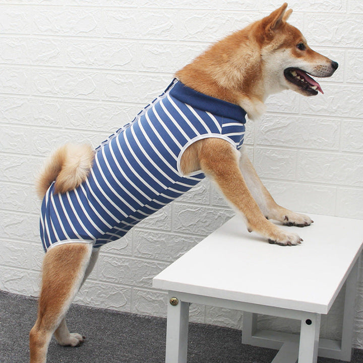 The Ultimate in Pet Fashion: Multi Color Casual Apparel Clothing
