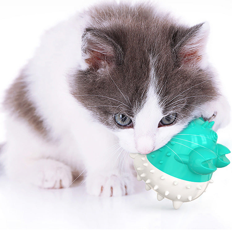 Why Your Cat Deserves the Pet Electric Vibration Interactive Toy