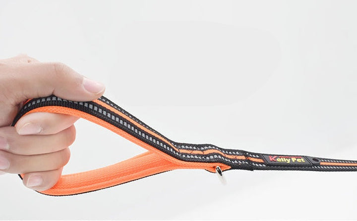 Unleash the Adventure with Our Pet Nylon Retractable Leash