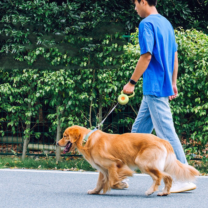 The Ultimate Pet Retractable Leash: Walks Made Easy and Safe!