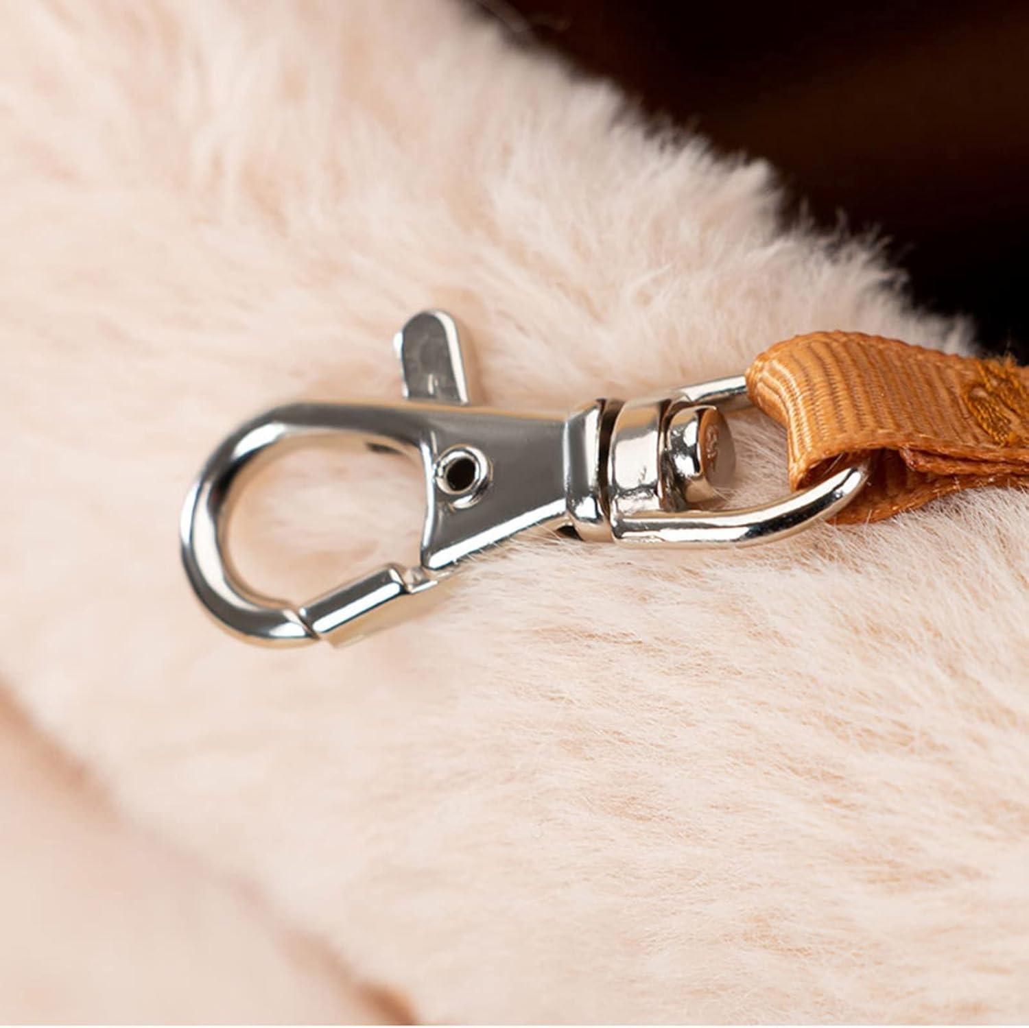 Why Your Pet Deserves the Best: The Ultimate Pet Carrier Backpack