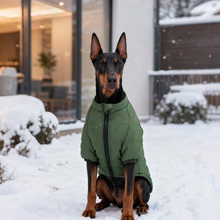 Keep Your Pet Cozy with Our Cotton Two Leg Jacket