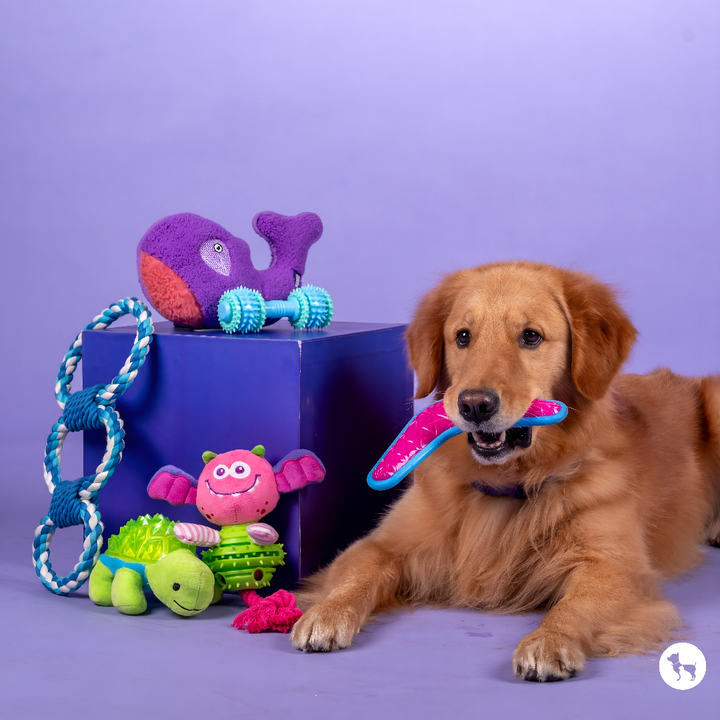 Fun and Engaging Toys for Pets