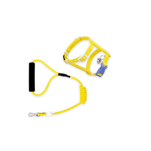 Pet Fashion Leash Anti Escape Walking Lead – A Must-Have for Every Cat Owner