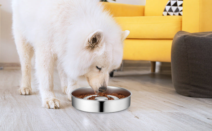 Revolutionize Your Pet's Mealtime with Our Stainless Steel Slow Feeding Bowl