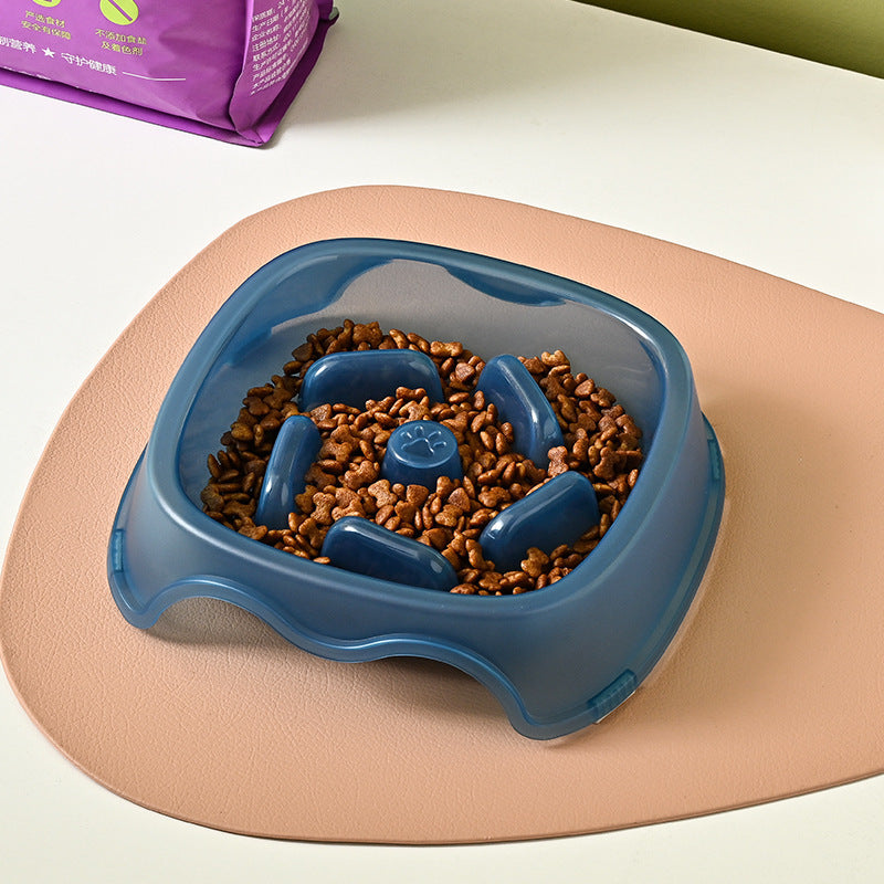 Pet Slow Feeding Anti Choking Water Bowl
