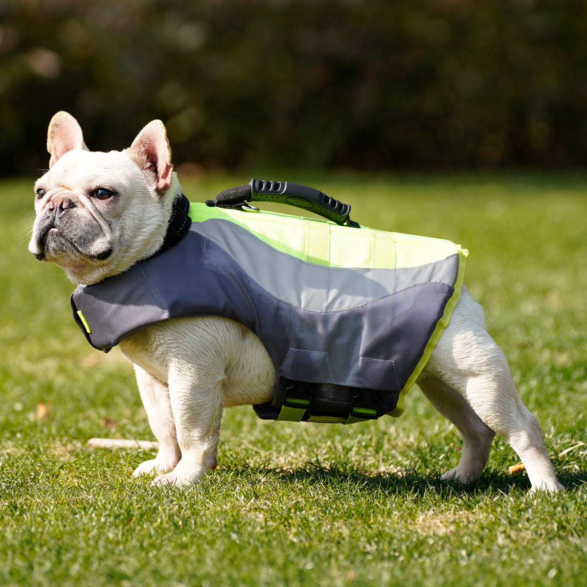 Pet Reflective Safety Swimsuit Life Jacket Vest