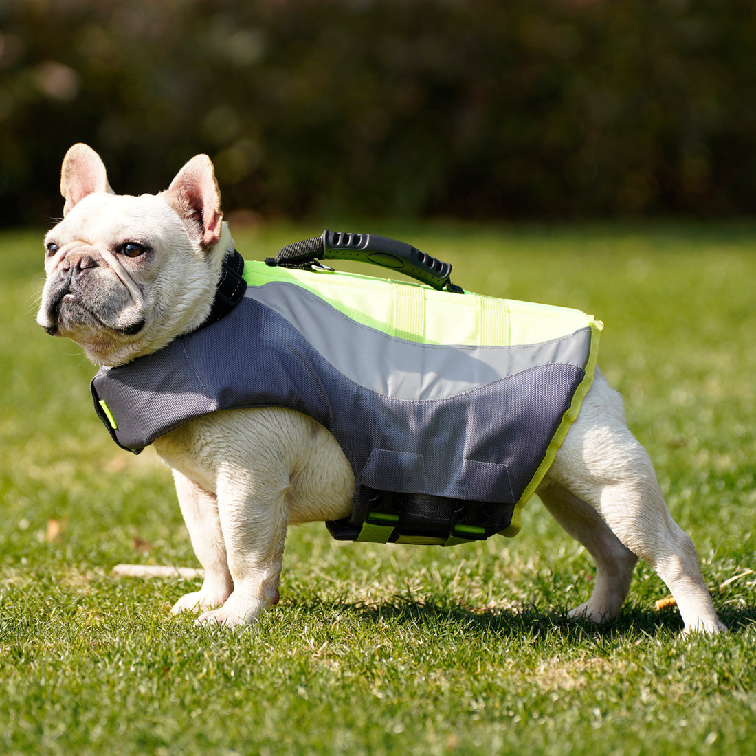 Pet Reflective Safety Swimsuit Life Jacket Vest