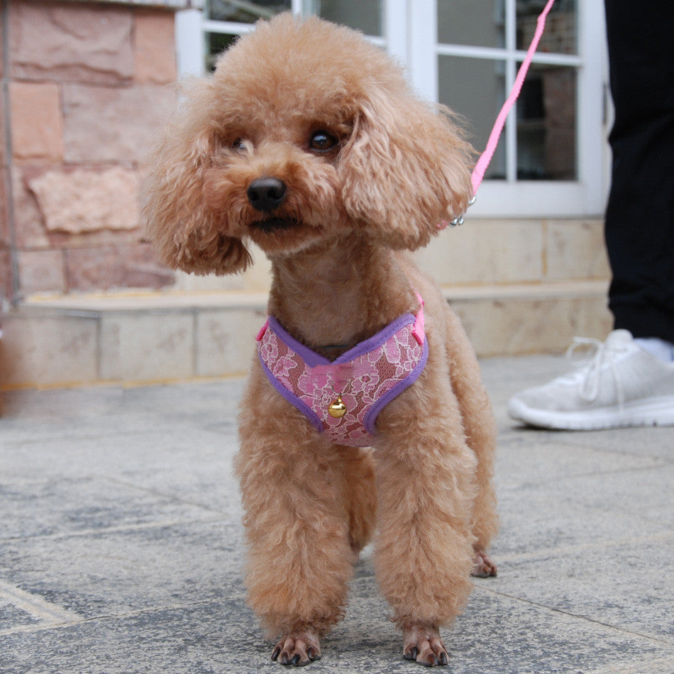 Pet Undershirt Chest Harness Leash Walking Control Gear