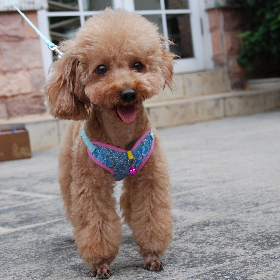Pet Undershirt Chest Harness Leash Walking Control Gear