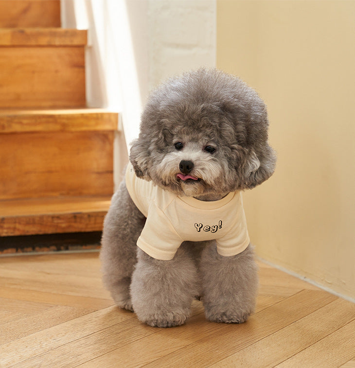 Pet Cotton Short Sleeve T-Shirt Korean Style Color Print Apparel