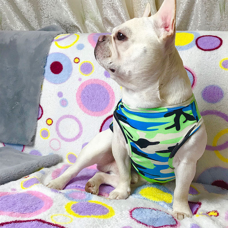 Pet Summer Fashion Casual Personality T Shirt
