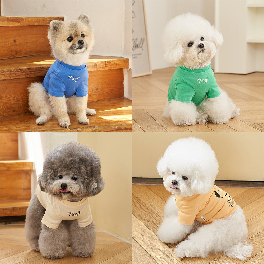 Pet Cotton Short Sleeve T-Shirt Korean Style Color Print Apparel