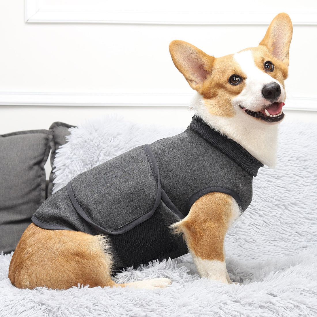 Pet Cotton Polyester Comfort Double Layer Jacket Clothing