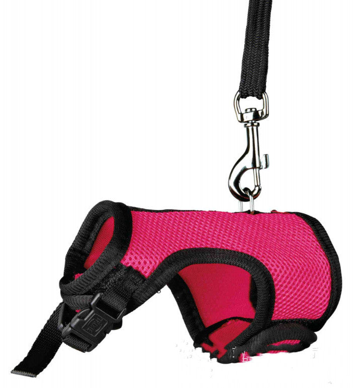 Pet Small Size Leash Lightweight Walking Lead