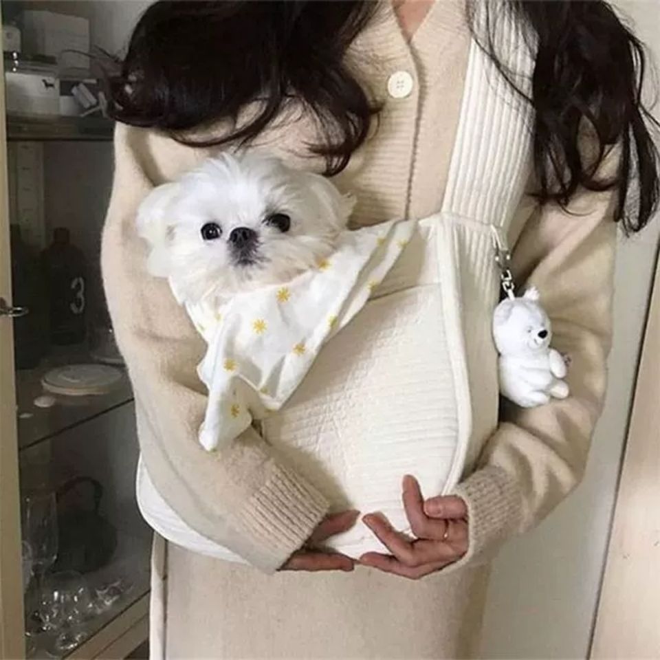 Handmade Pet Carrier Canvas Breathable Travel Tote Bag