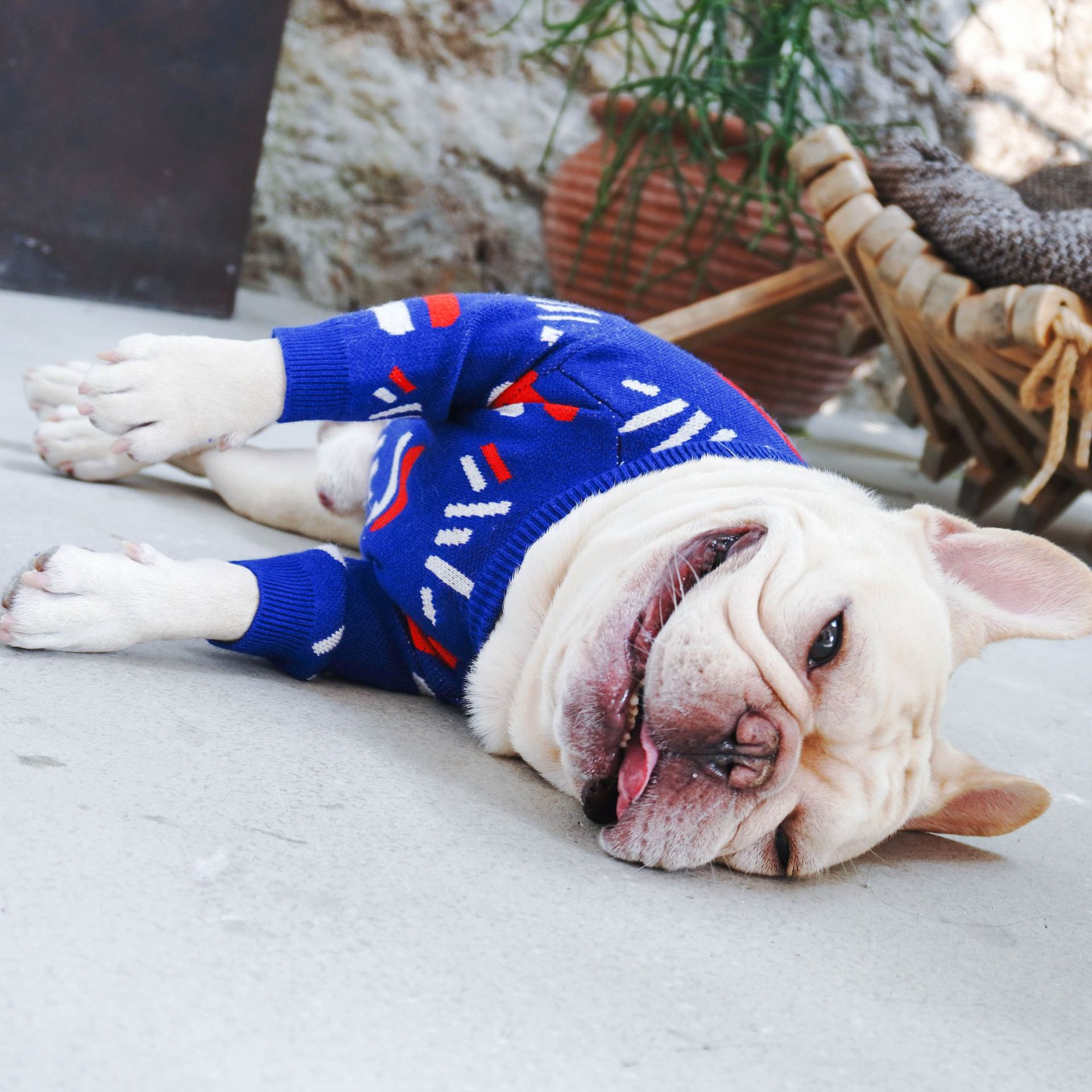 Pet Warm Knitted Casual Winter Sweater