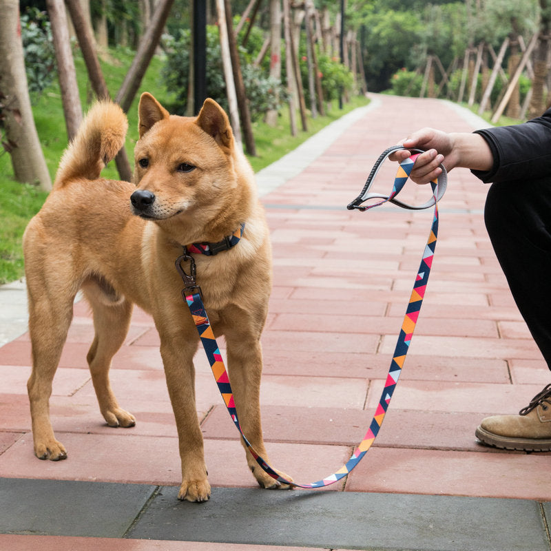 Pet Walking Leash Durable Training Control Lead