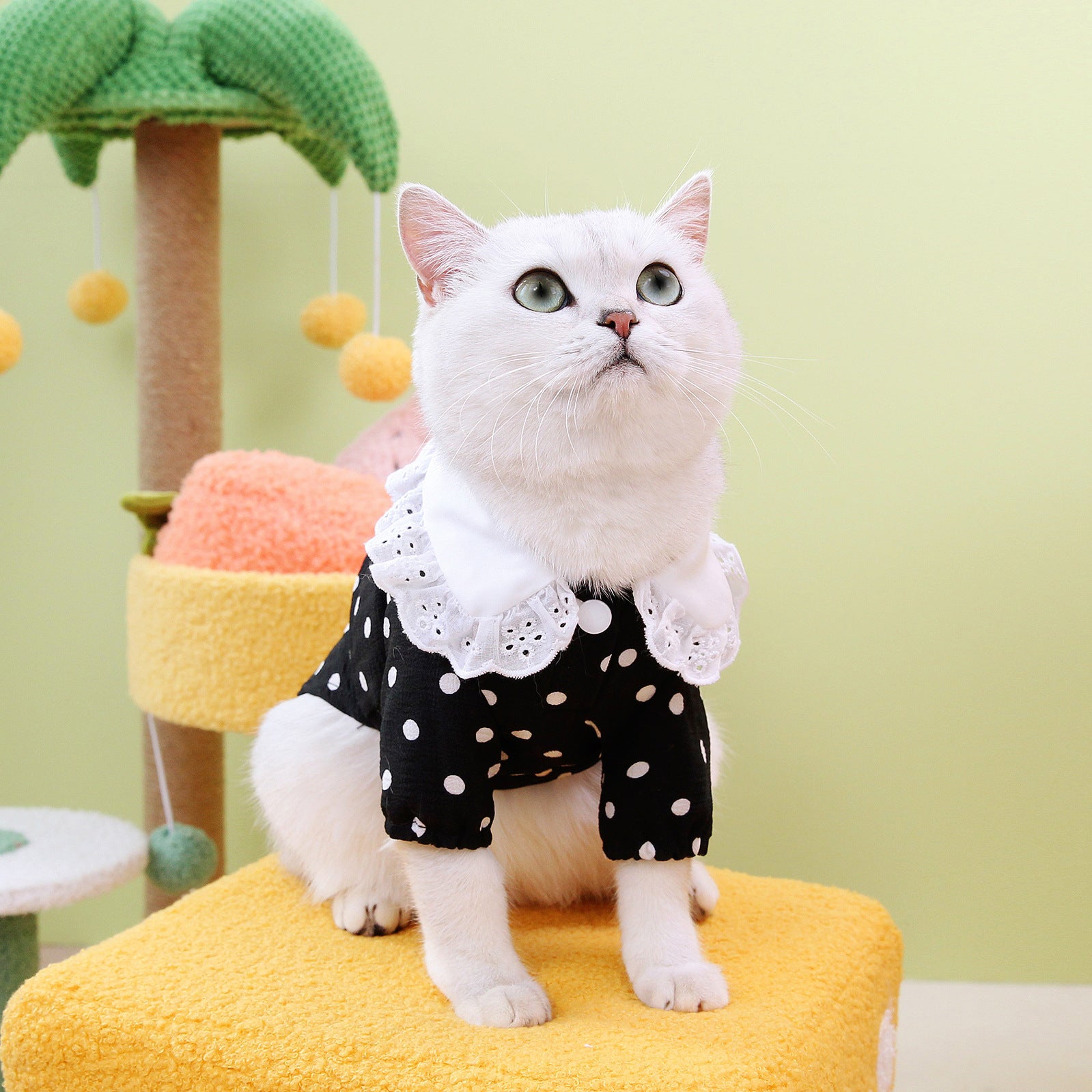 Pet Blue Casual Cotton T Shirt Apparel