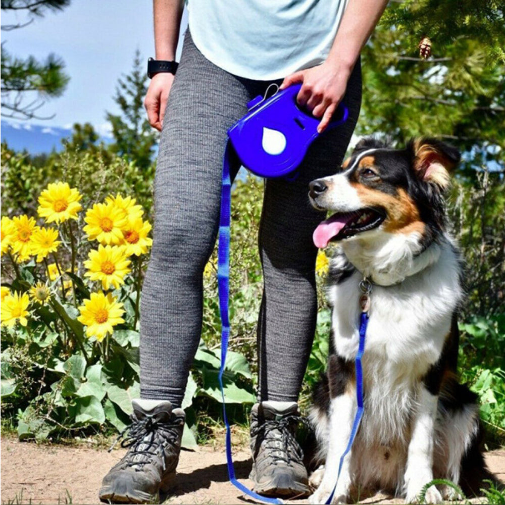 Pet Multifunction Automatic Retractable Leash Portable Walking Lead