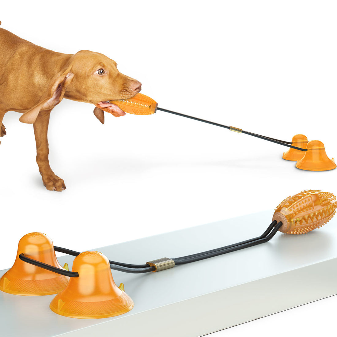 Pet Double Rope Ball Sucker Tug Chew Toy