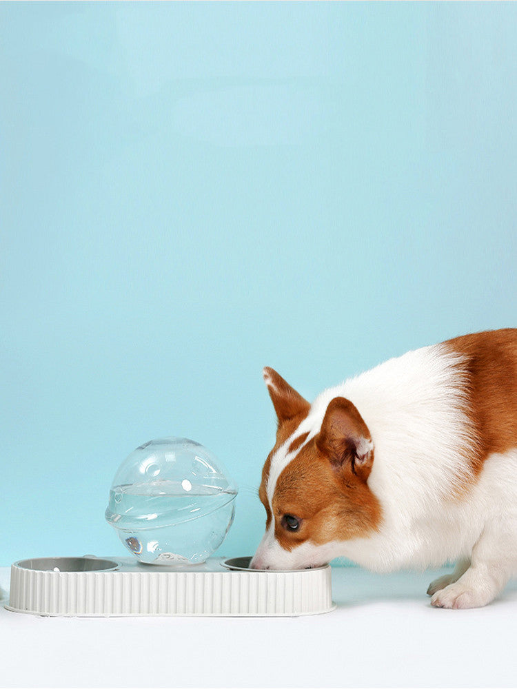 Pet Automatic Feeding And Drinking Water Bowl