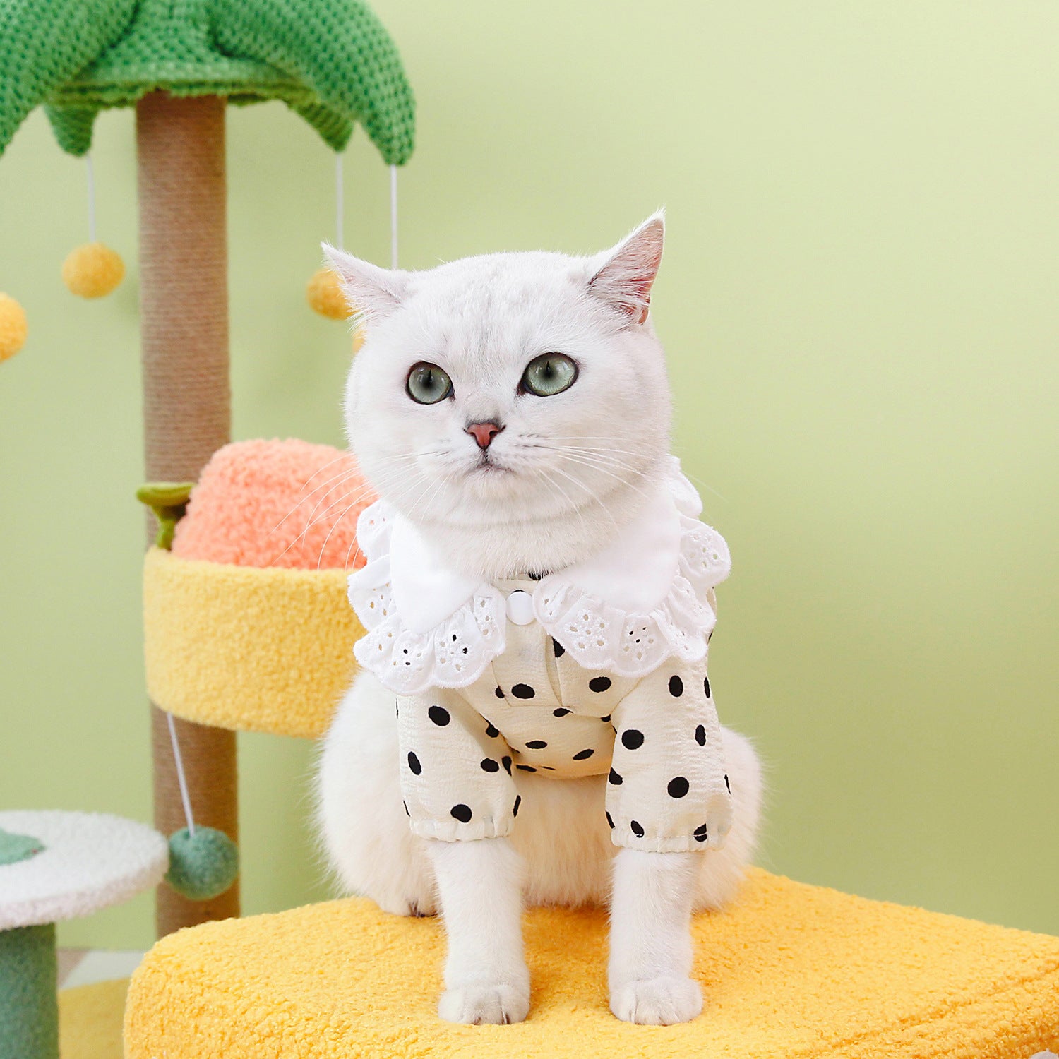 Pet Blue Casual Cotton T Shirt Apparel