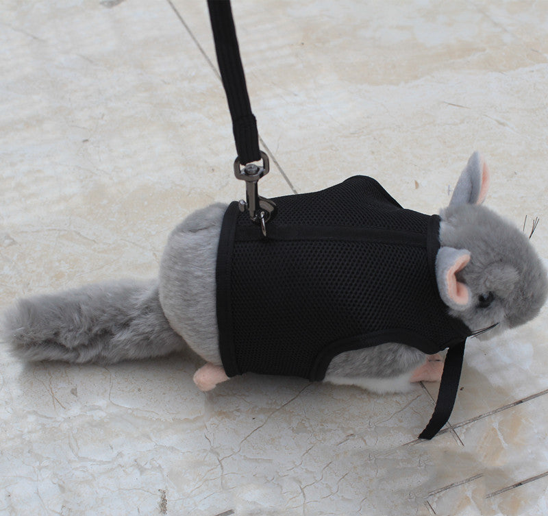 Pet Small Size Leash Lightweight Walking Lead