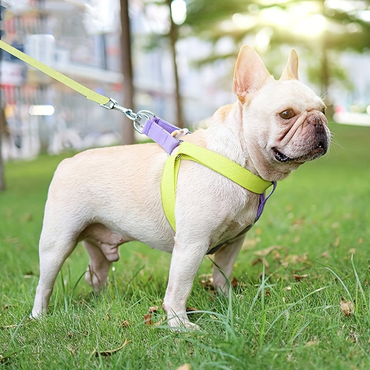 Pet Rainbow Harness Set Anti Escape Vest Chest Leash Walking Gear