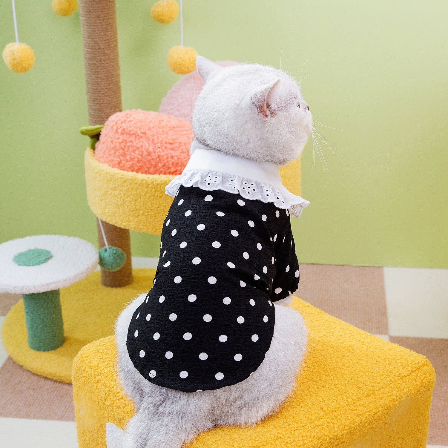 Pet Blue Casual Cotton T Shirt Apparel