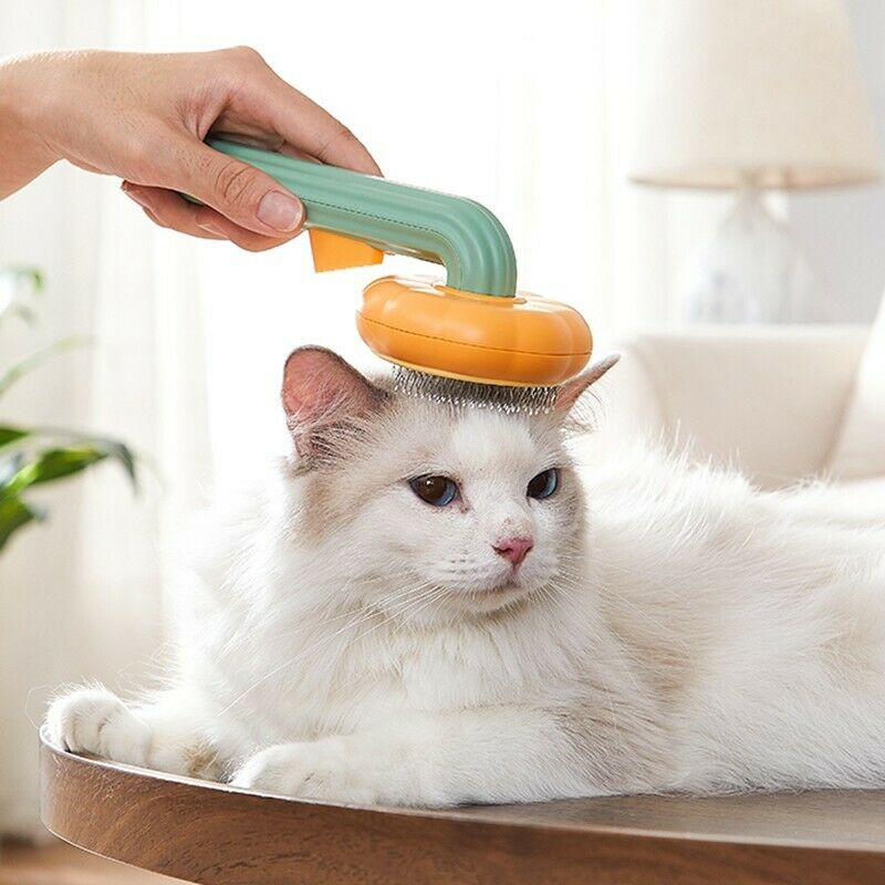 Pet Pumpkin Grooming Brush Self Cleaning Slicker Hair Removal Tool