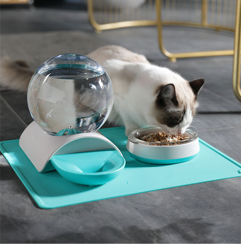 Pet Feeding And Watering Bowl