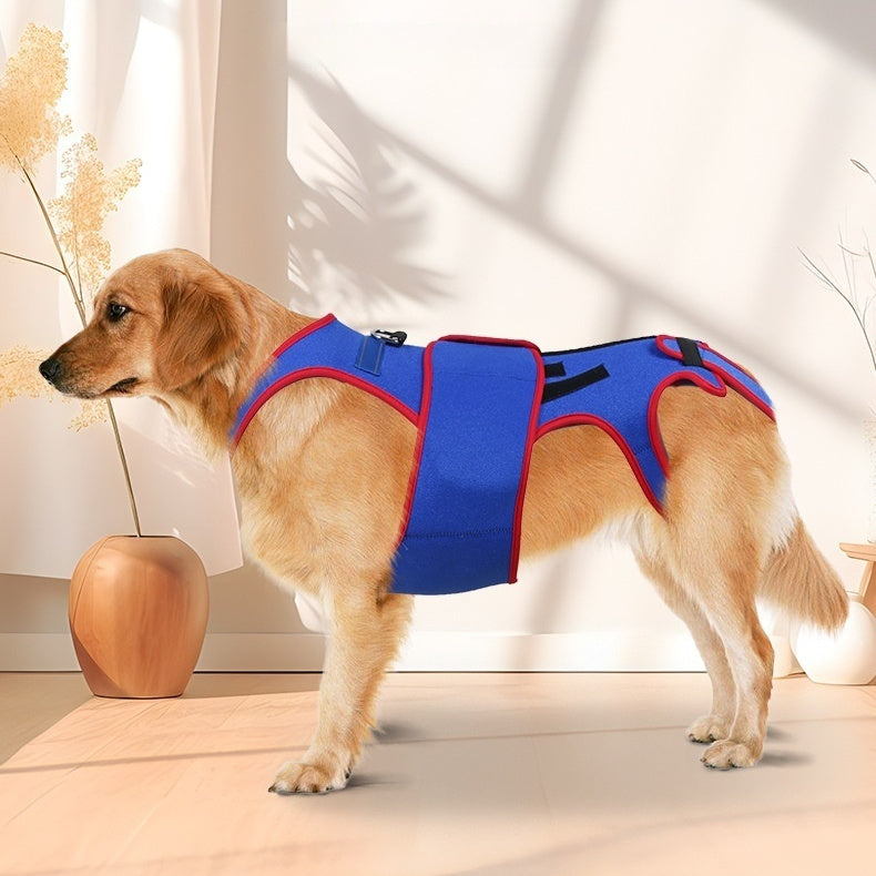 Pet Spine Support Jacket Posture Correction Aid