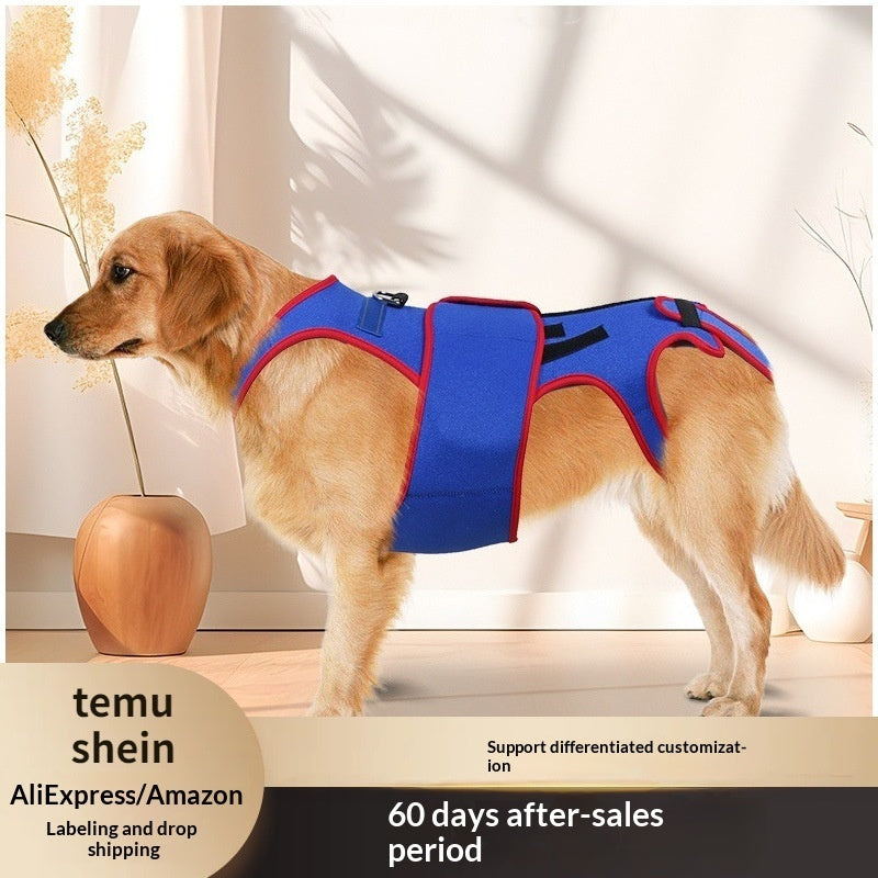 Pet Spine Support Jacket Posture Correction Aid