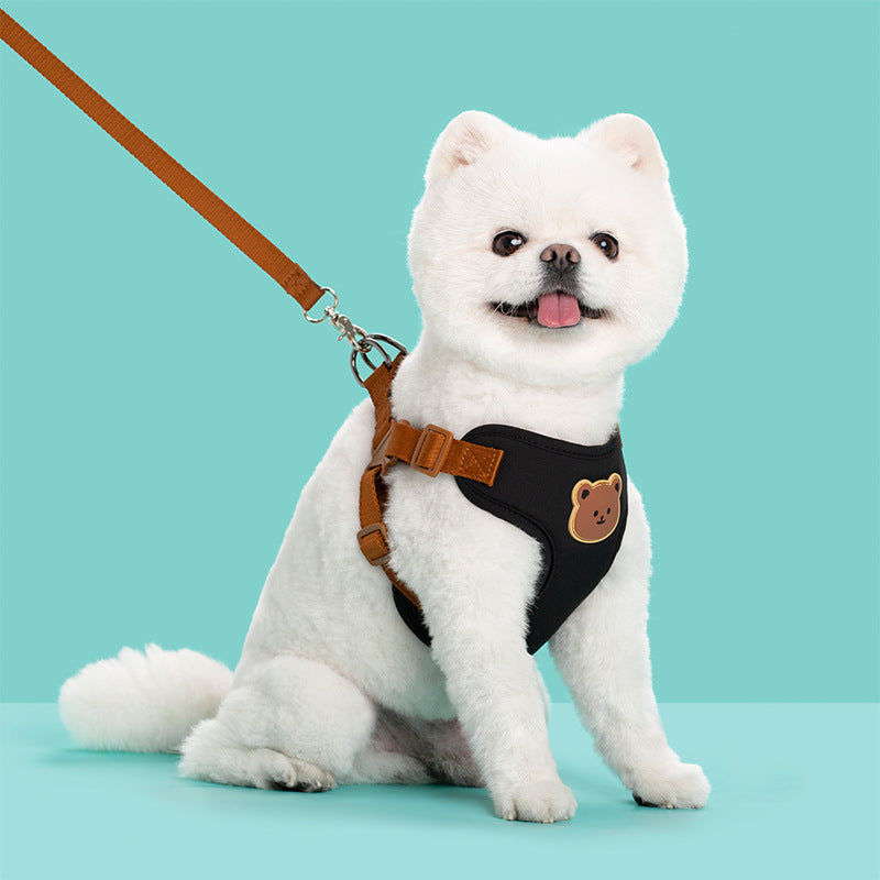 Pet Outdoor Strap Leash Walking Control Lead