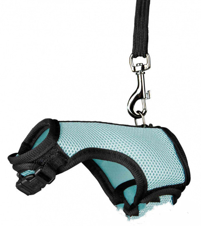 Pet Small Size Leash Lightweight Walking Lead