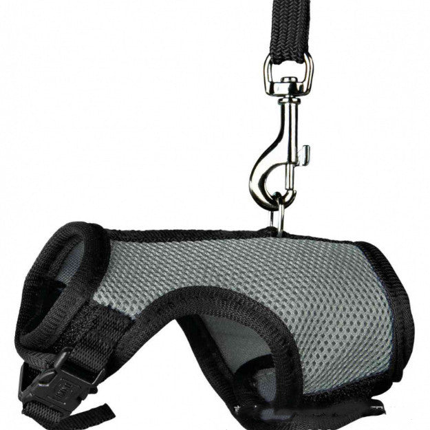 Pet Small Size Leash Lightweight Walking Lead