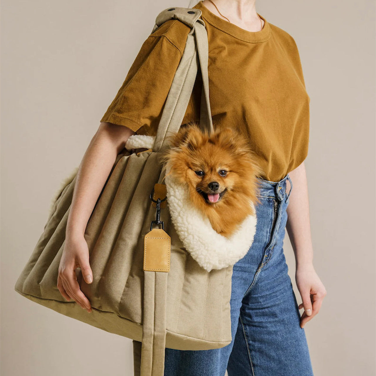Pet Carrier Waterproof Lightweight Portable Travel Handbag Bag