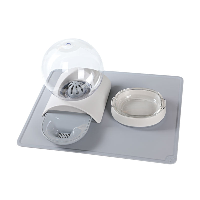 Pet Feeding And Watering Bowl