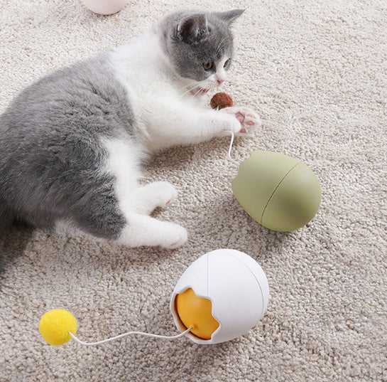 Pet Funny Interactive Play Toy Artifact