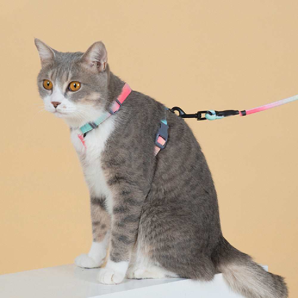 Pet Fashion Leash Anti Escape Walking Lead