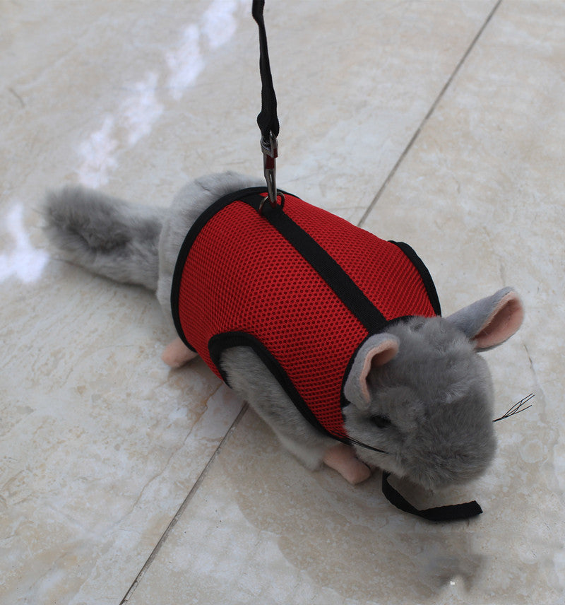 Pet Small Size Leash Lightweight Walking Lead