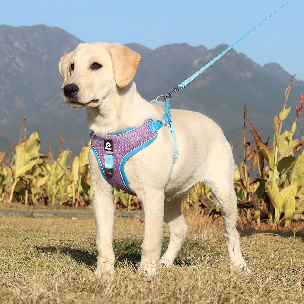 Pet Breathable Adjustable Harness Leash Walking Gear