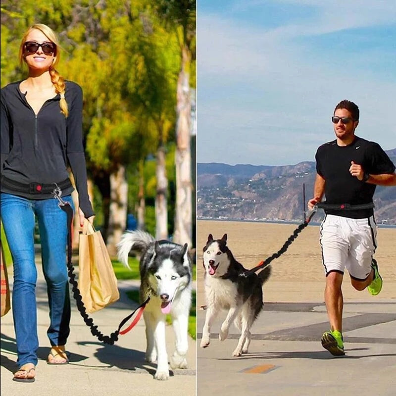 Pet Adjustable Harness Collar Jogging Leash Walking Gear
